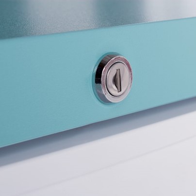 LEC Laboratory LSF232 Freezer LEC Laboratory LSF232 Freezer